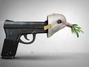 gun with a dove and olive branch