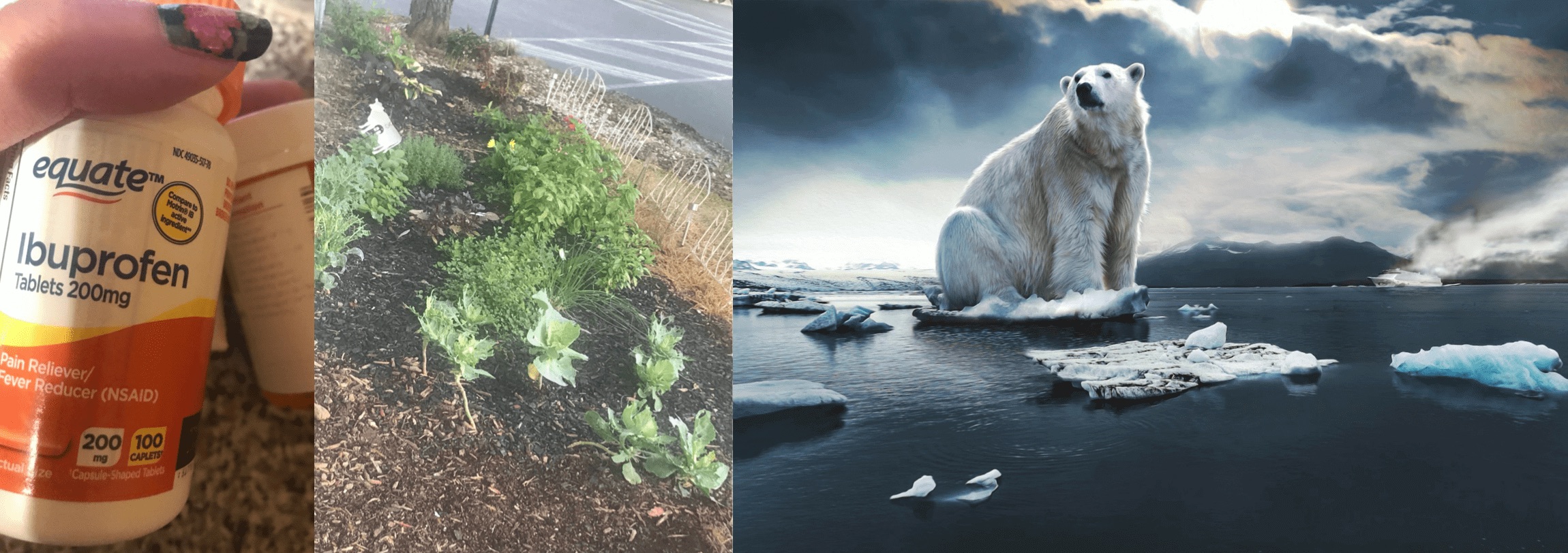 ibuprofen bottle, garden, polar bear on melting ice
