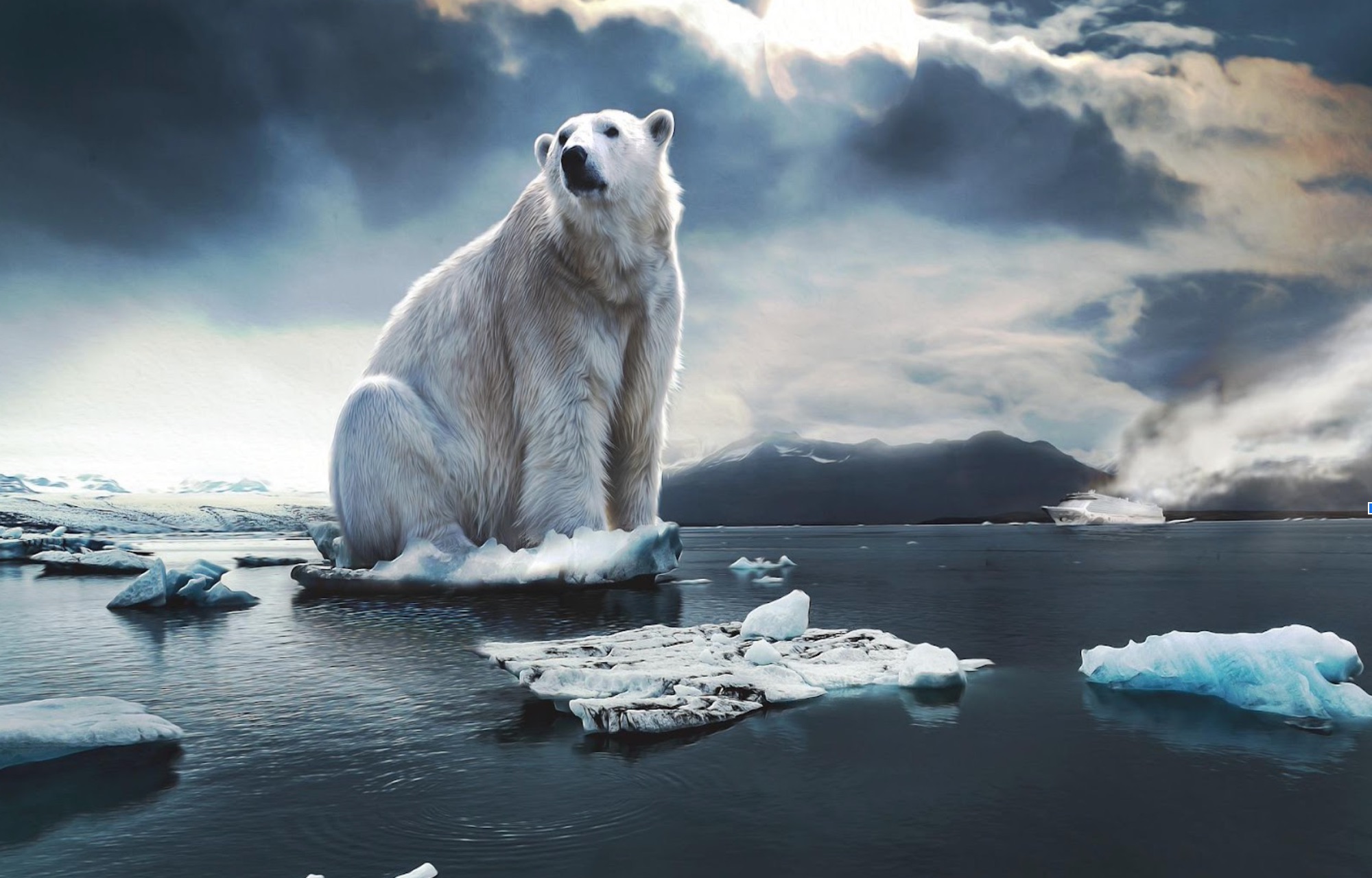 polar bear on melting ice