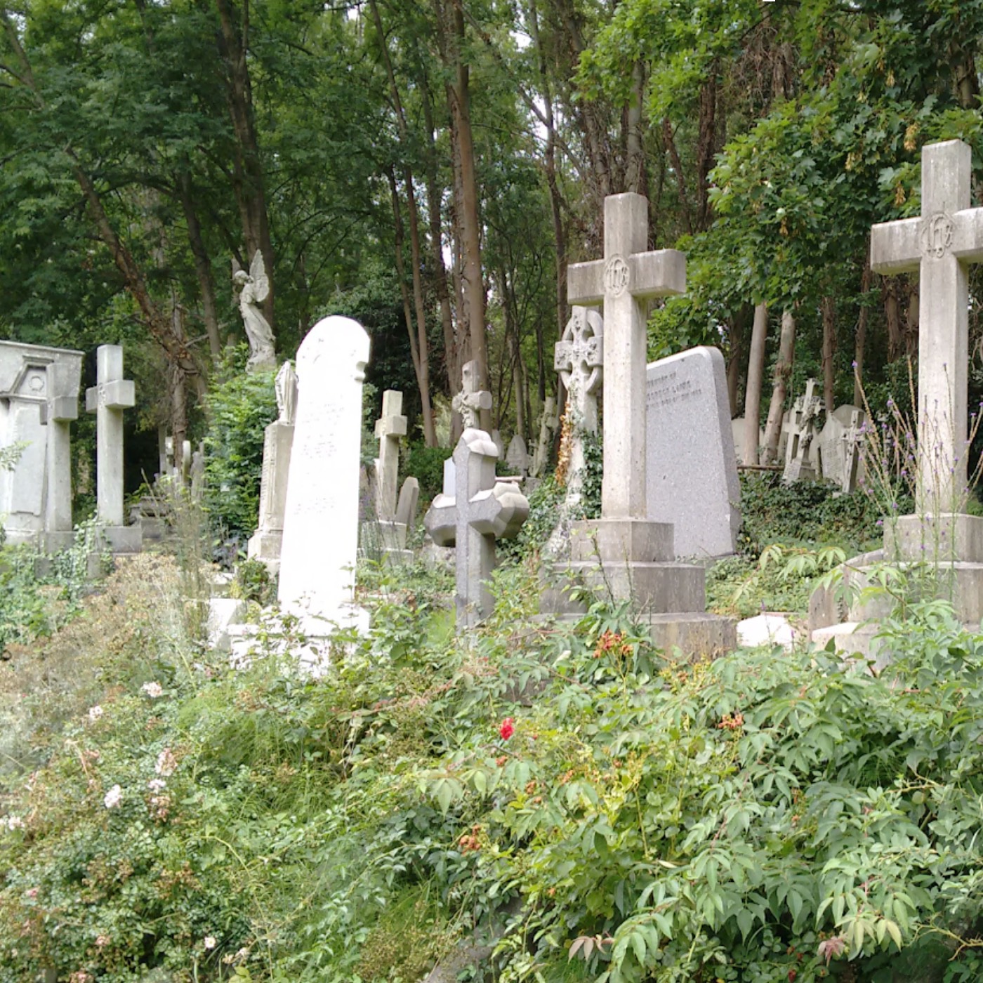headstones in a graveyard