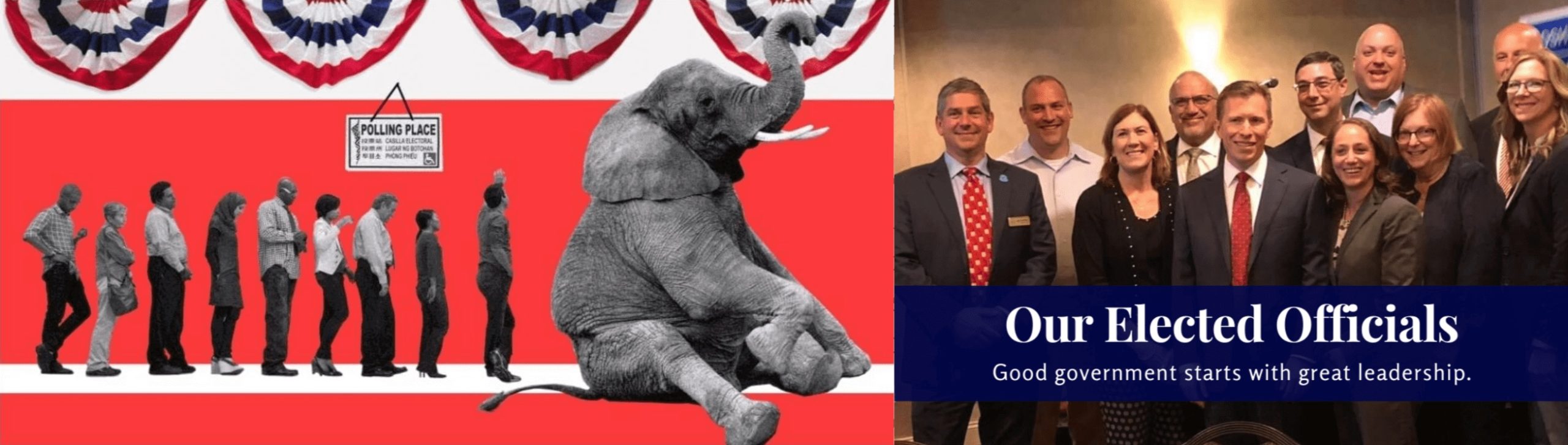 people standing in line to vote behind an elephant, elected officials